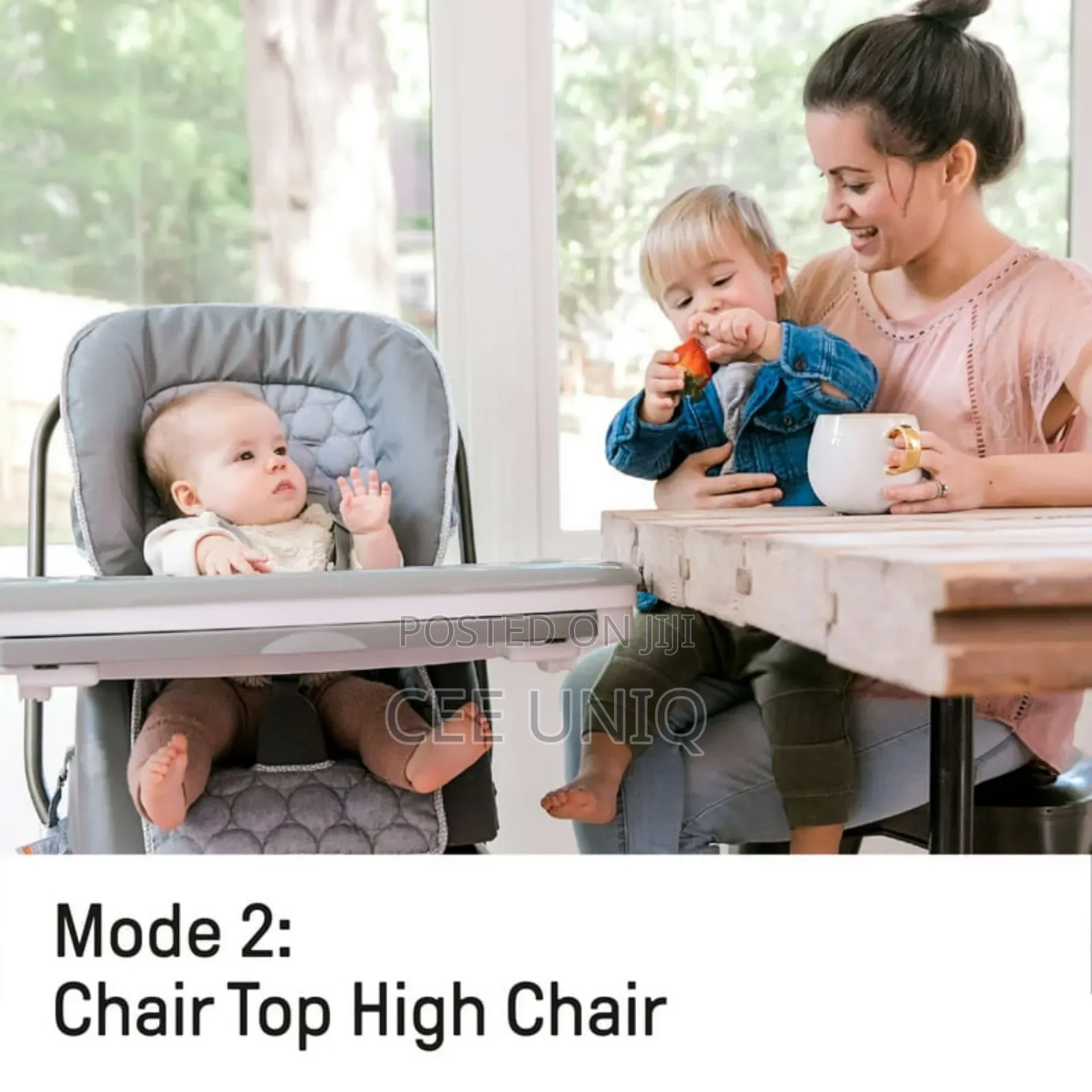 4 in 1 Ingenuity High Chair