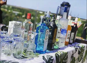 Mobile Cocktail Bar Service