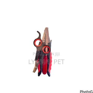 Nail Cutter ( 2in1)