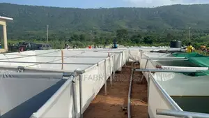 25,000 Fish Capacity