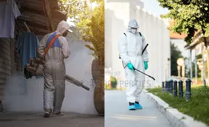 Be Saved From All Pest at Homes or Offices