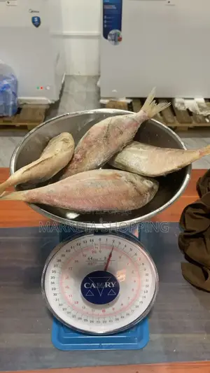 Red Fish Medium 1kg
