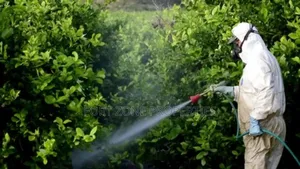 Coweb,Tick,Centipedes,Mosquitoes Etc Fumigation