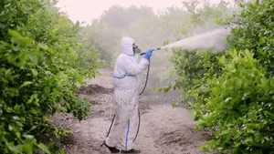 Coweb,Tick,Centipedes,Mosquitoes Etc Fumigation