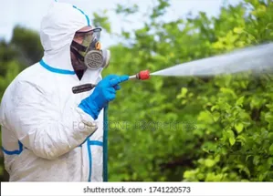 Snakes,Scorpion,Bedbugs Etc Removal