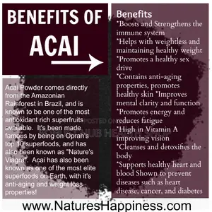 Acai Berry Powder