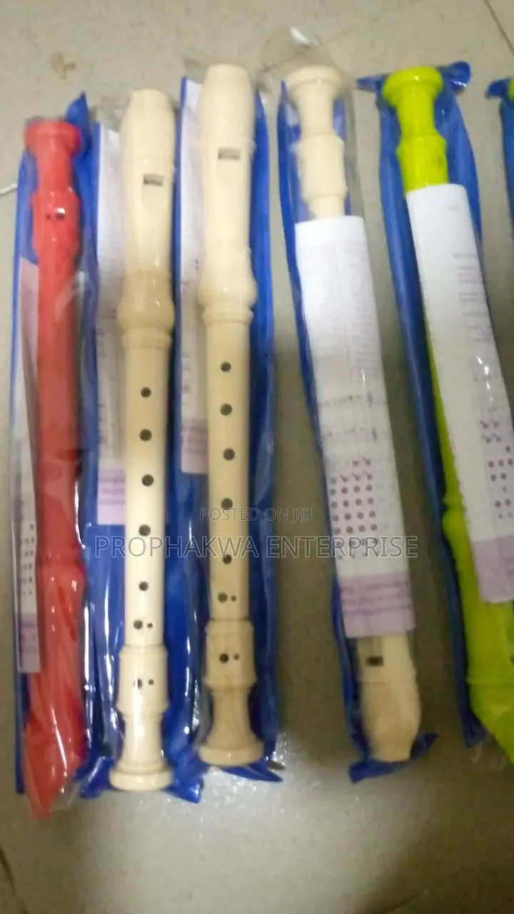 Recorder / Flute ( 4 Pieces)