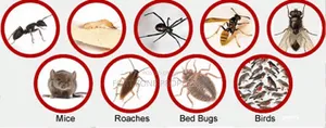 Caterpillars,Millipedes,Mosquitoes,Tick Etc Control