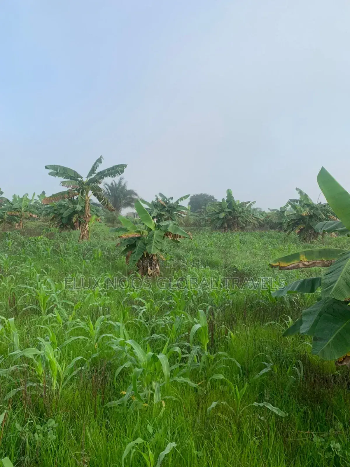 21 Plots Land for Sale. No Litigation.