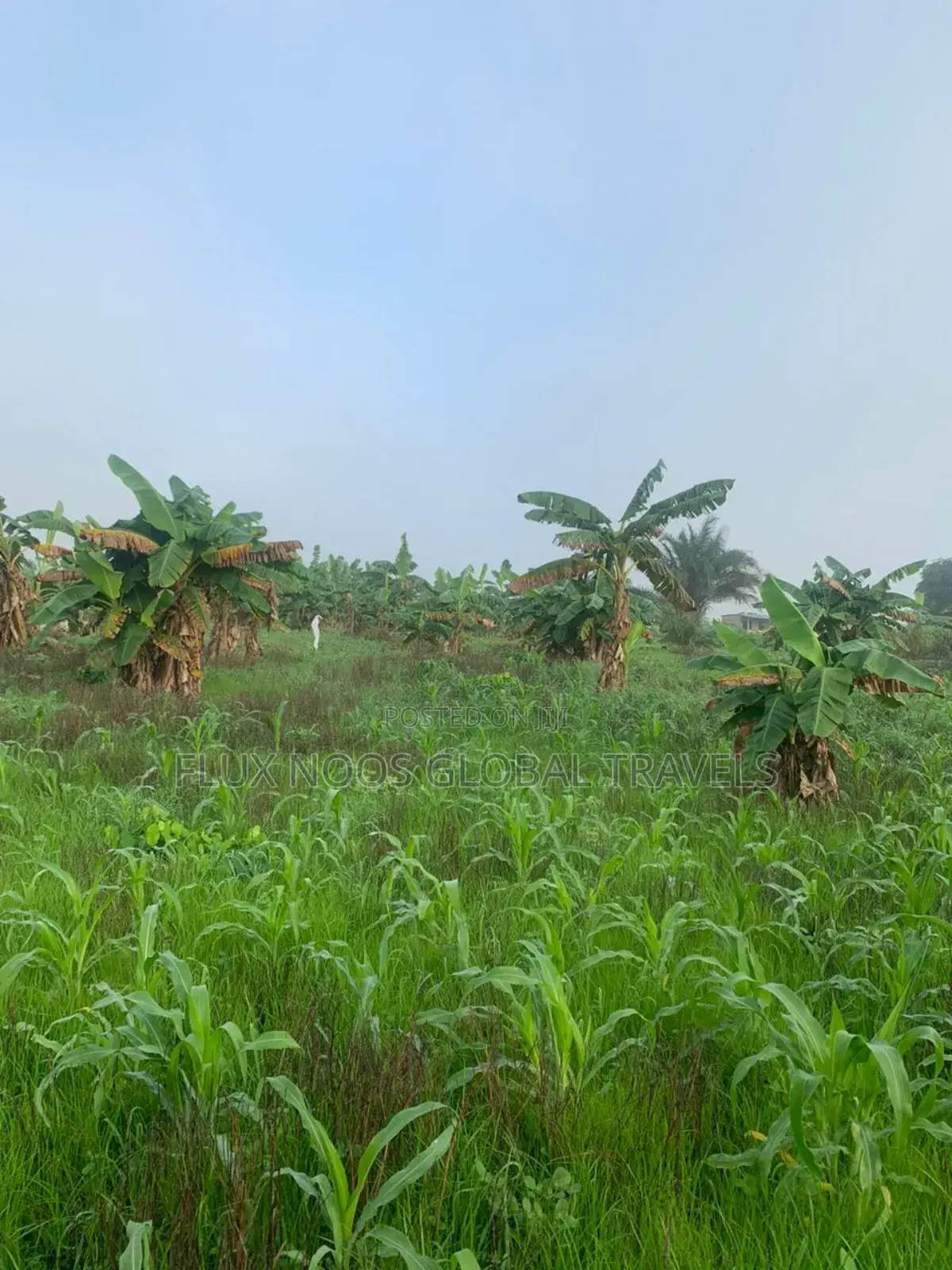 21 Plots Land for Sale. No Litigation.