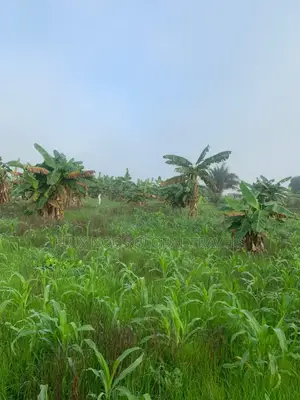 21 Plots Land for Sale. No Litigation.