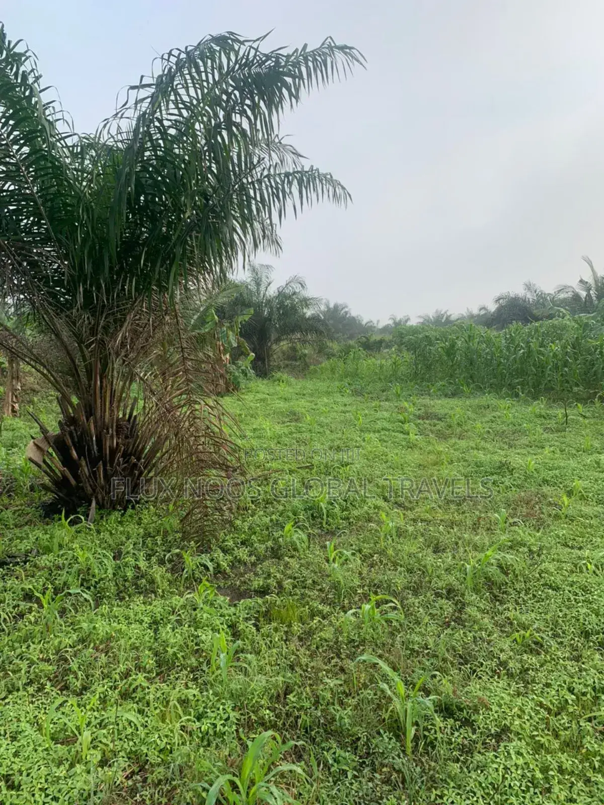 Gated 21 Plots of Land for Sale.