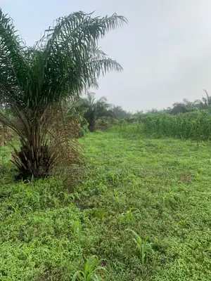 Gated 21 Plots of Land for Sale.
