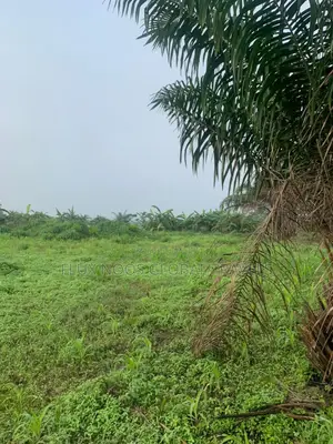 Gated 21 Plots of Land for Sale.