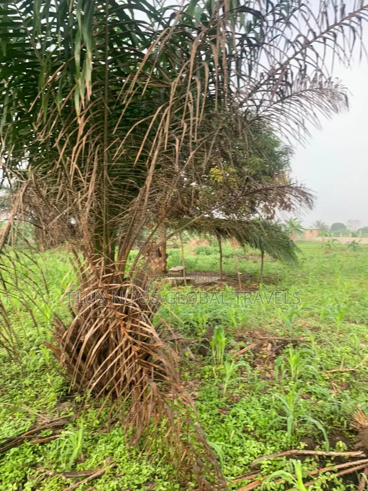 Gated 21 Plots of Land for Sale.