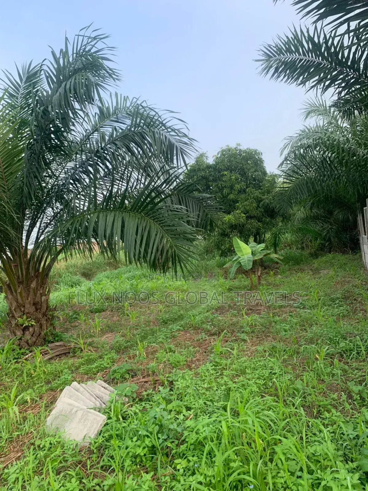 Car for Land Deal Available Now