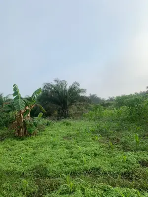 Car for Land Deal Available Now