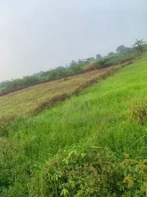 Car for Land or Lands for Sale.