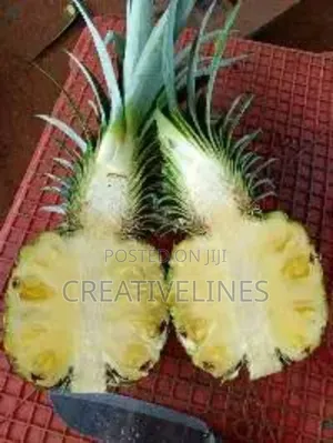 Supply of Pineapple