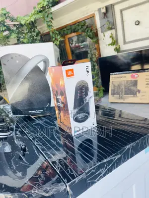 Order Affordable JBL Flip 6 Wireless Electric Speaker.