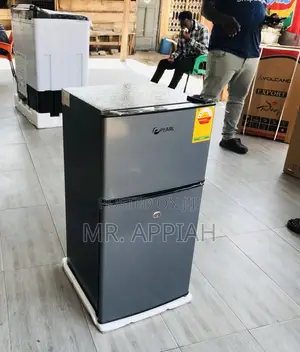 Energy Efficient Pearl Pf-100lf-25y 2 Door Table Top Fridge
