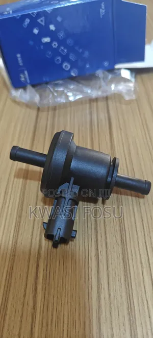 Kia Perdge Valve (E-Valve )