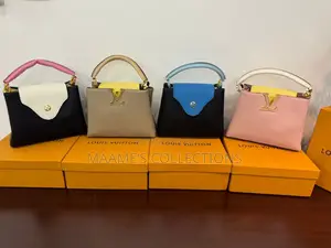 Louis Vuitton Ladies Handbag ( Comes in a Box)