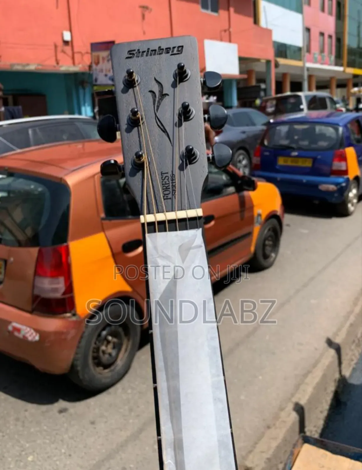 Stringberg 6-string Semi-acoustic Guitar