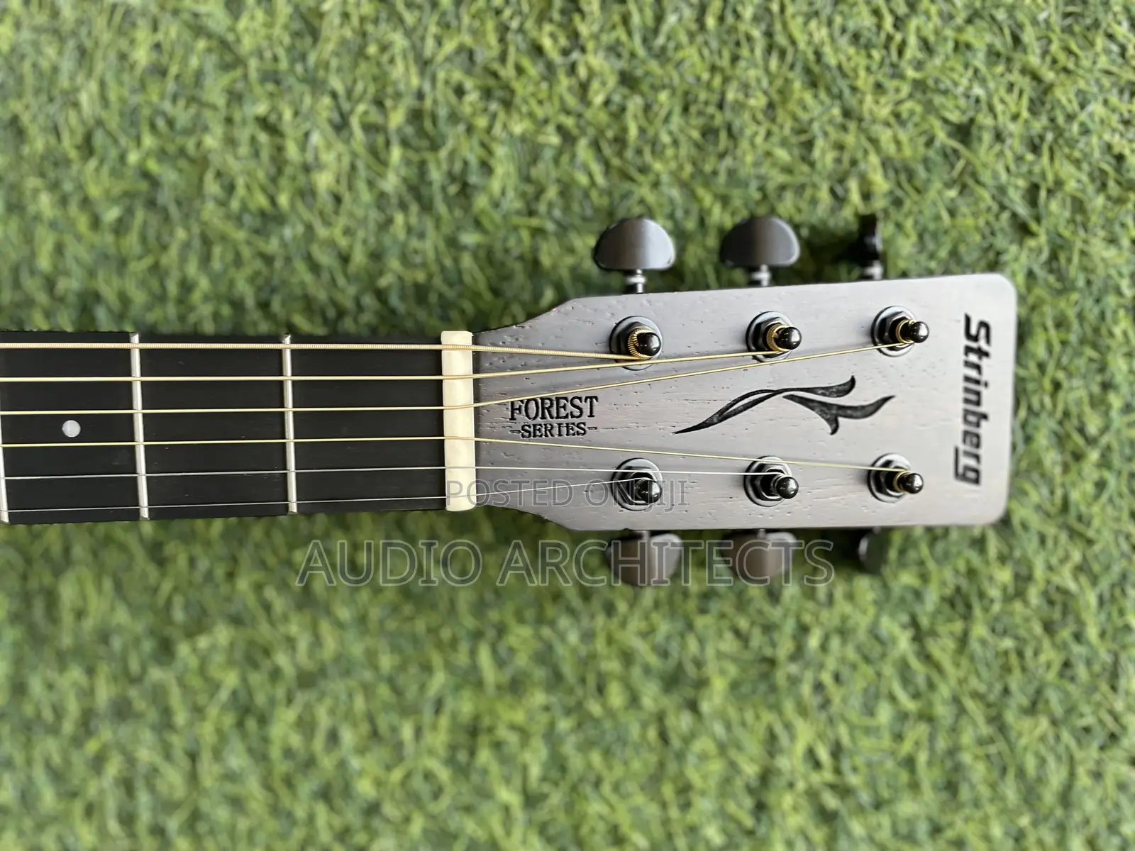 Semi Acoustic Guitar Srinberg