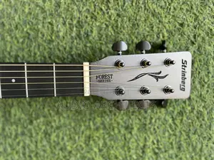 Semi Acoustic Guitar Srinberg