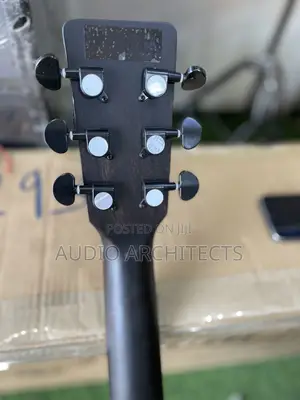 Semi Acoustic Guitar Srinberg