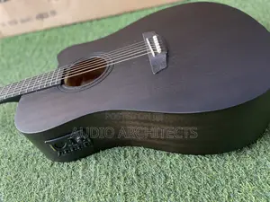 Semi Acoustic Guitar Srinberg