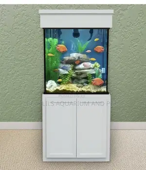 2 Feet Package Aquarium With Stand