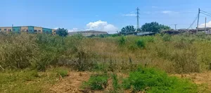 1 Acres Beachfront Land for Sale at New Ningo