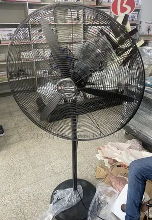 30 Inches Binatone Industrial Fan