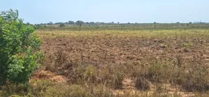 Prampram - Full With Easy Access Roads.