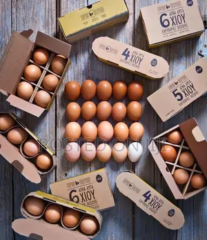 Chicken Eggs