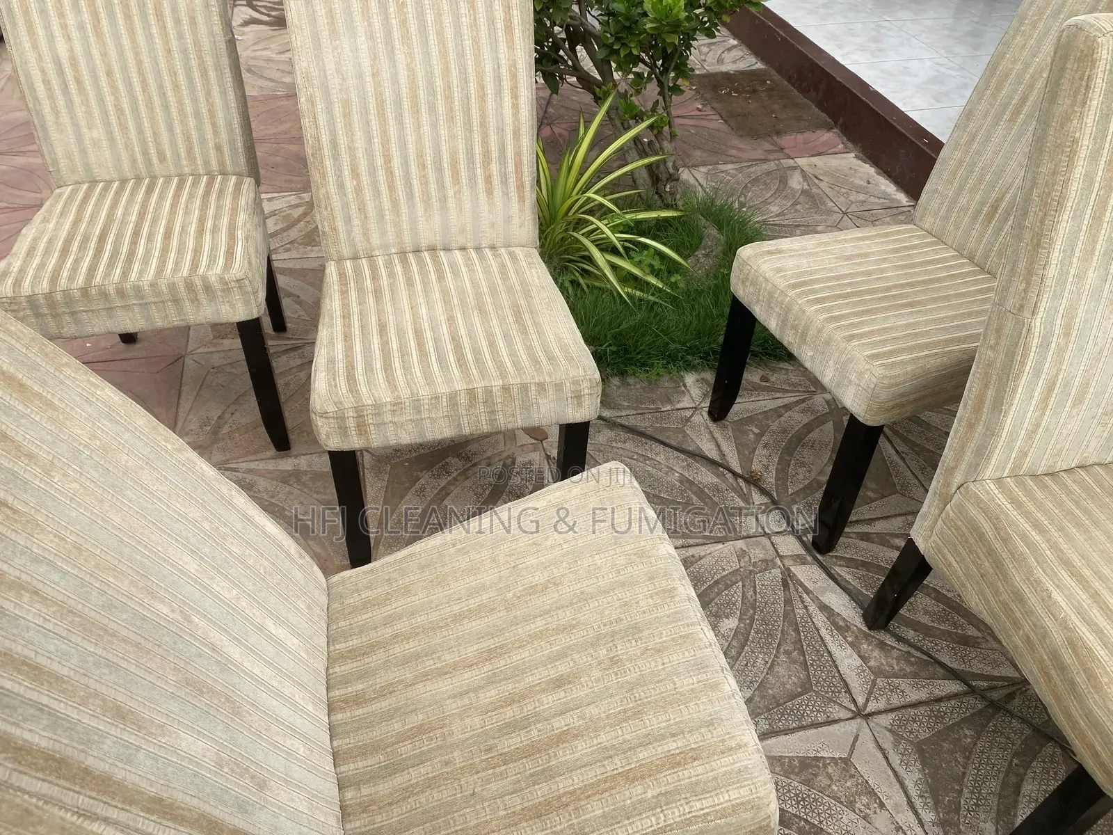 Sofa Cleaning Services