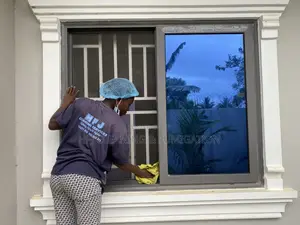 Do You Need a Professional Cleaning Service ?