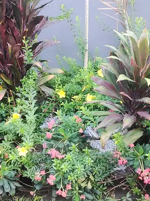 Tony Horticulture Works