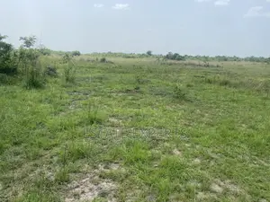 Titled Land Located at Ayikuma