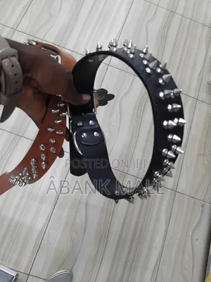 Dog Collar