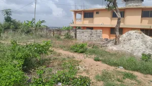 Plot for Sale West Fijia Yalex