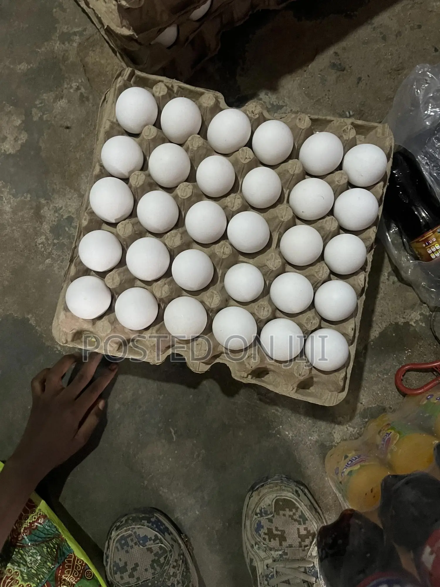 Fresh Organic Egg