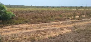 Christmas Bonanza on Plots at Prampram Beach Lane