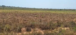 Christmas Bonanza on Plots at Prampram Beach Lane