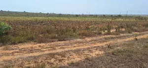 Jumbo Offers on Full Plots at Dahwenya