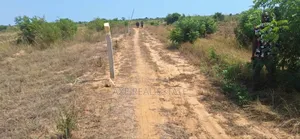 Half Plot> Limited Offers at Tema Community 25