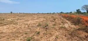 Enticing Discount on Half Plots at Dahwenya