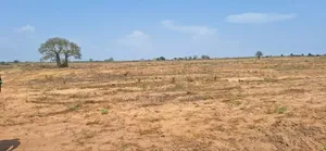 Enticing Discount on Half Plots at Dahwenya